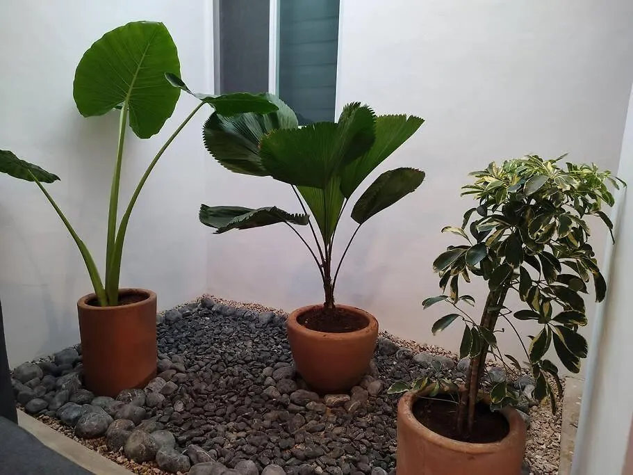 Casa Luna Gris Villa Mérida Сasa de vacaciones